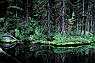 Upper Snow Lake Reflection